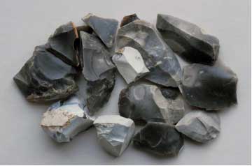 Neolithic flint assemblage