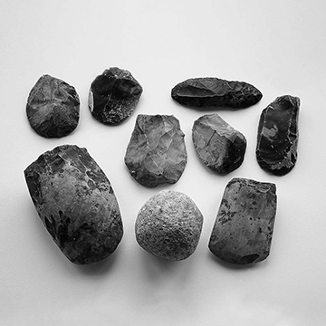 Neolithic flint assemblage