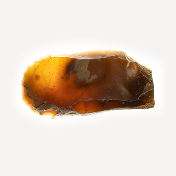 Neolithic flint assemblage