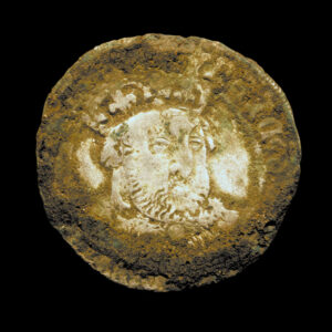 Henry VIII Coin